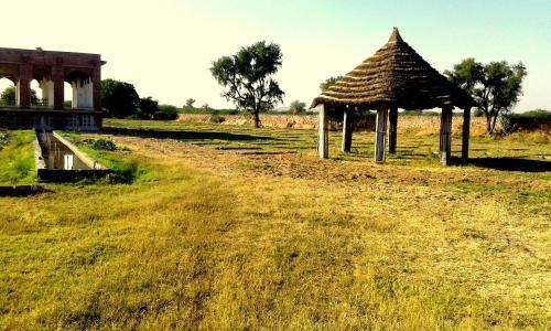 Джодхпур: Rudraksh Bagh