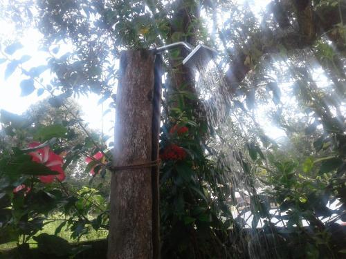 Cherthala: Marari Siva Beach Homestay