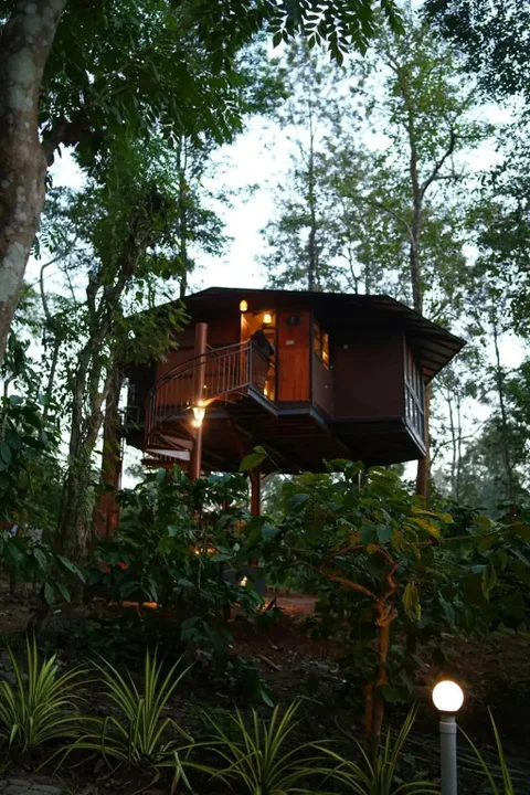 Султан-Батери: Pugmarks Jungle Resort