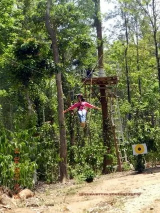Султан-Батери: Pugmarks Jungle Resort