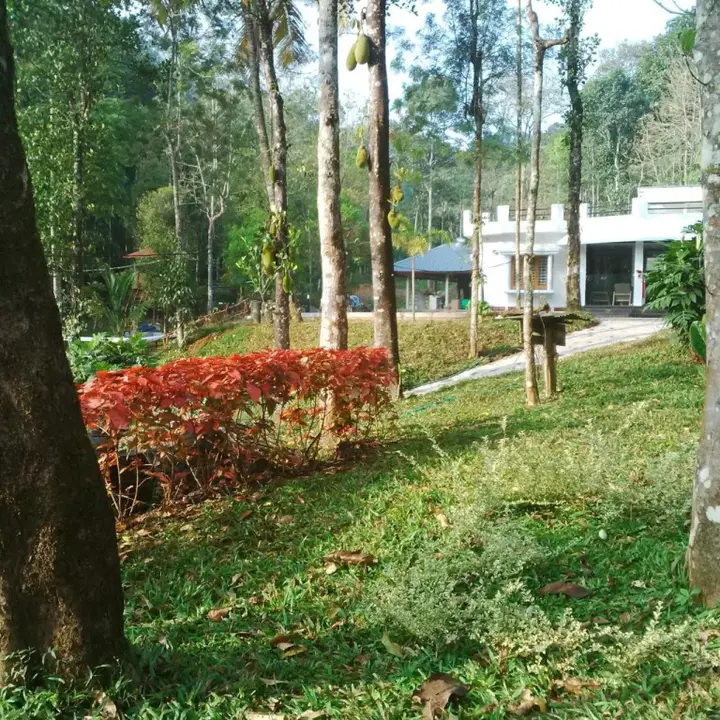 Куттикканам: L&G Riverview Haven.