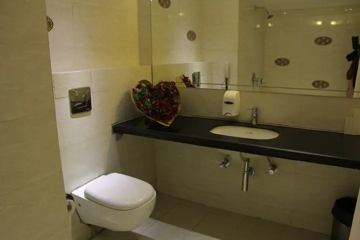 Индаур: Hotel Mangal City
