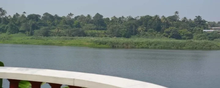 Калади: Periyar Riverview Homestay