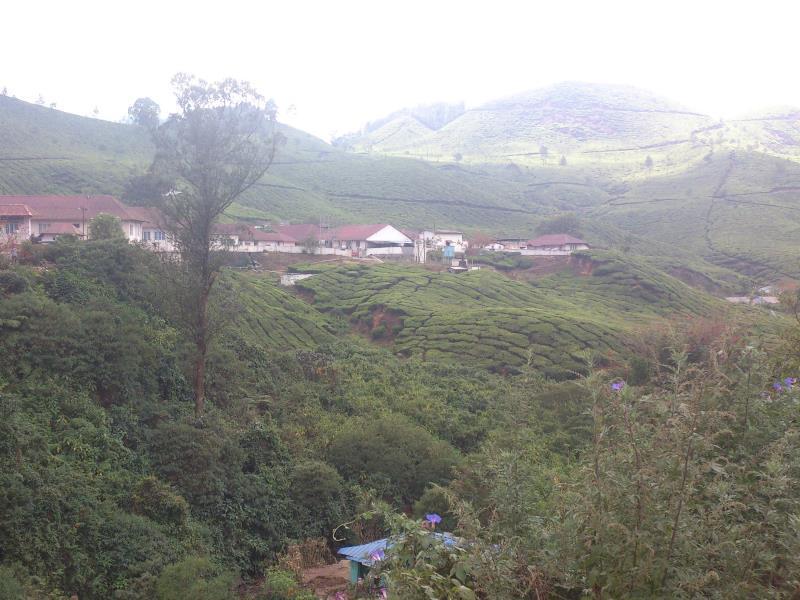 Муннар: Family Care Home Stay