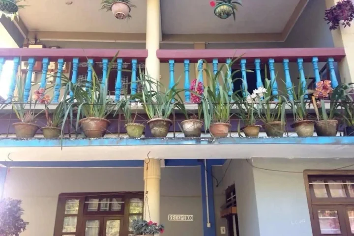 Калимпонг: Damsang Guest House