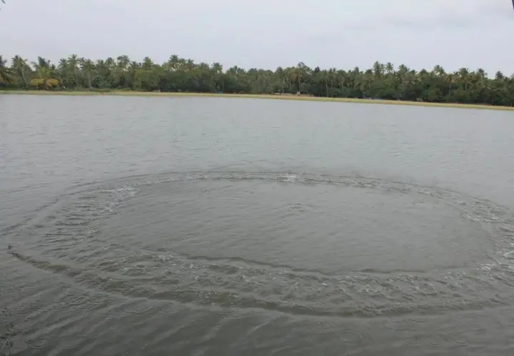 Коччи: Kadalkkara Lake Resort