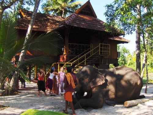 Cherthala: Marari Mullackal Homestay