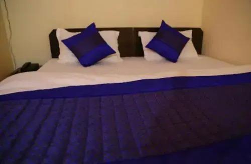 Нью-Дели: Airport Hotel Dream Palace