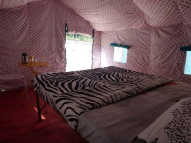 Ришикеш: Mogli Camps