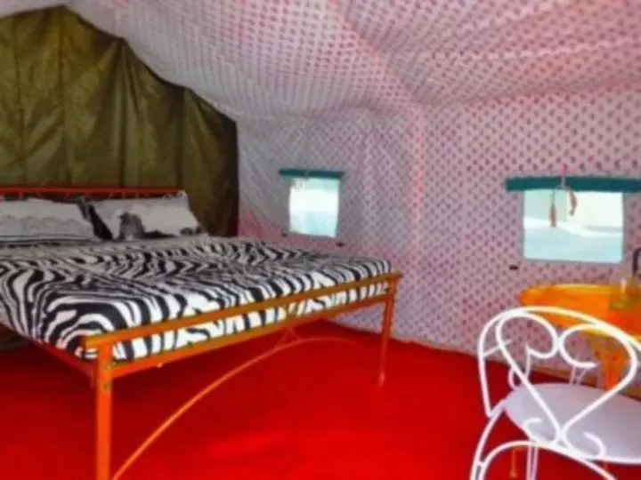 Ришикеш: Mogli Camps