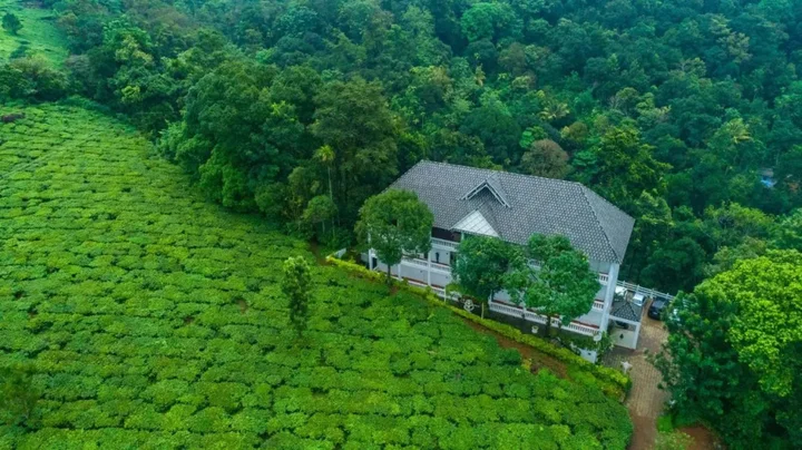 Муннар: Tea Harvester Munnar