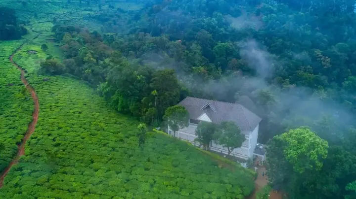 Муннар: Tea Harvester Munnar