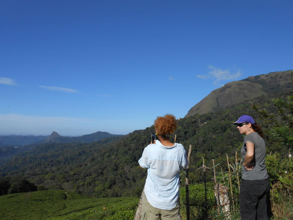 Муннар: Tea Harvester Munnar