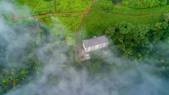 Муннар: Tea Harvester Munnar