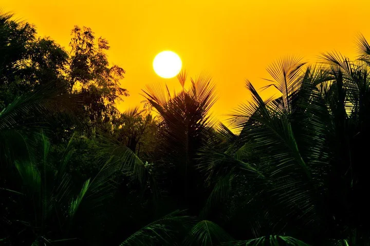 Калапет: Vedanta Wake Up! Pondicherry - Auroville Beach
