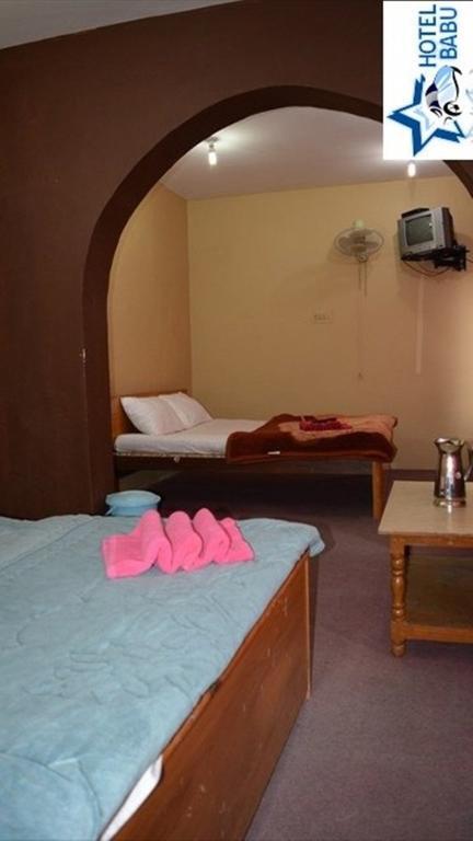 Шринагар: Hotel Babu