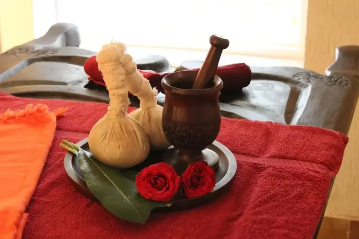 Ришикеш: Yog Niketan by Sanskriti