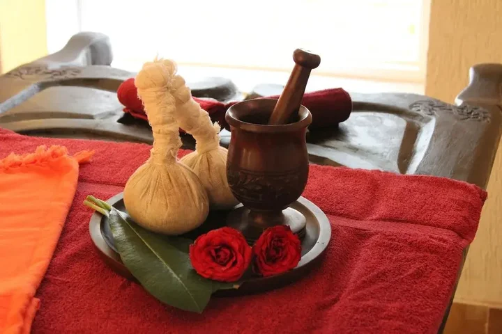 Ришикеш: Yog Niketan by Sanskriti