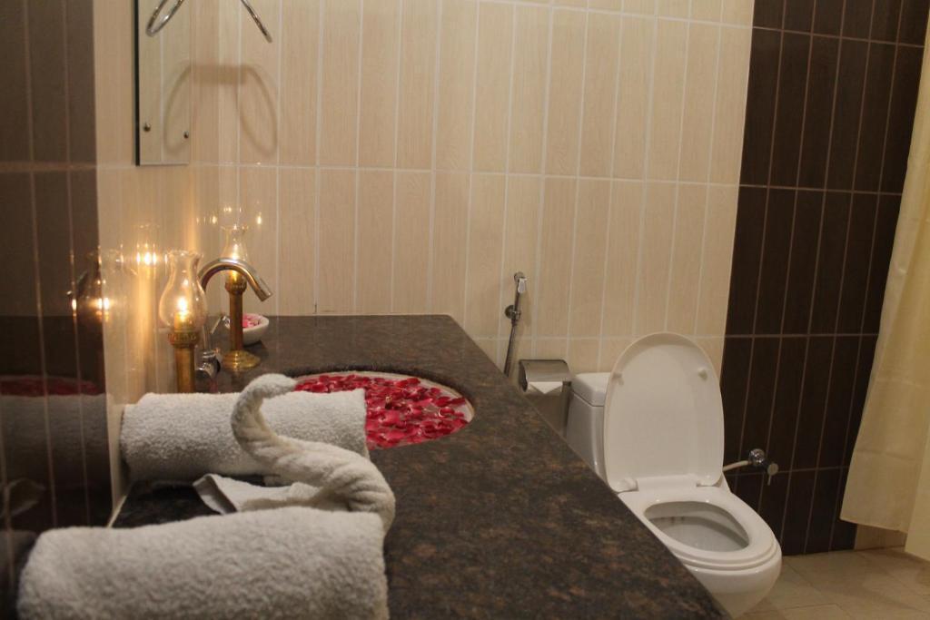 Савай-Мадхопур: Jungle Retreat Ranthambore