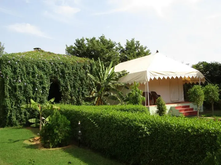 Савай-Мадхопур: Jungle Retreat Ranthambore