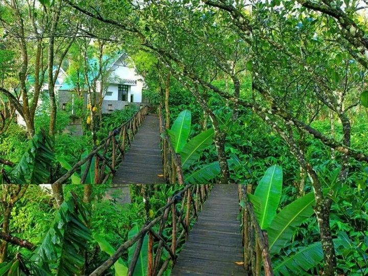 Куттикканам: Aanavilasam Luxury Plantation House