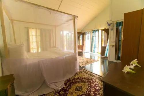 Южный Гоа: La La Land Nature Resort