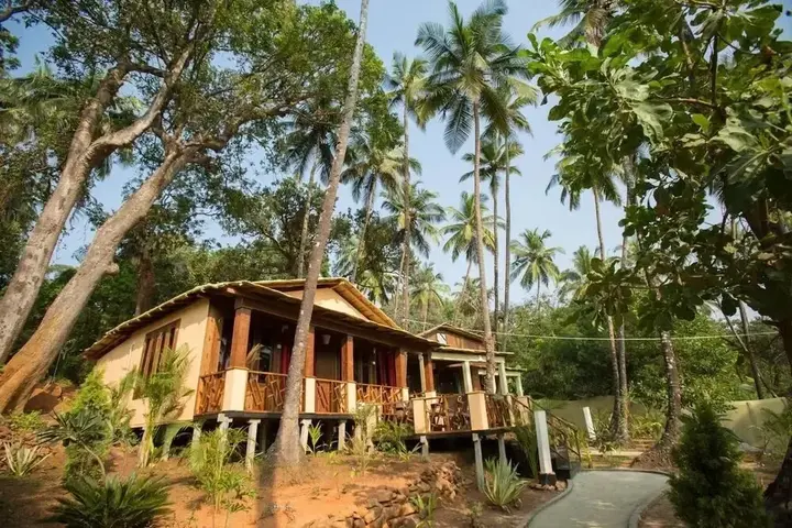 Южный Гоа: La La Land Nature Resort