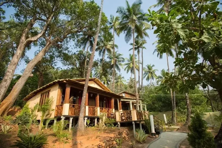 Южный Гоа: La La Land Nature Resort
