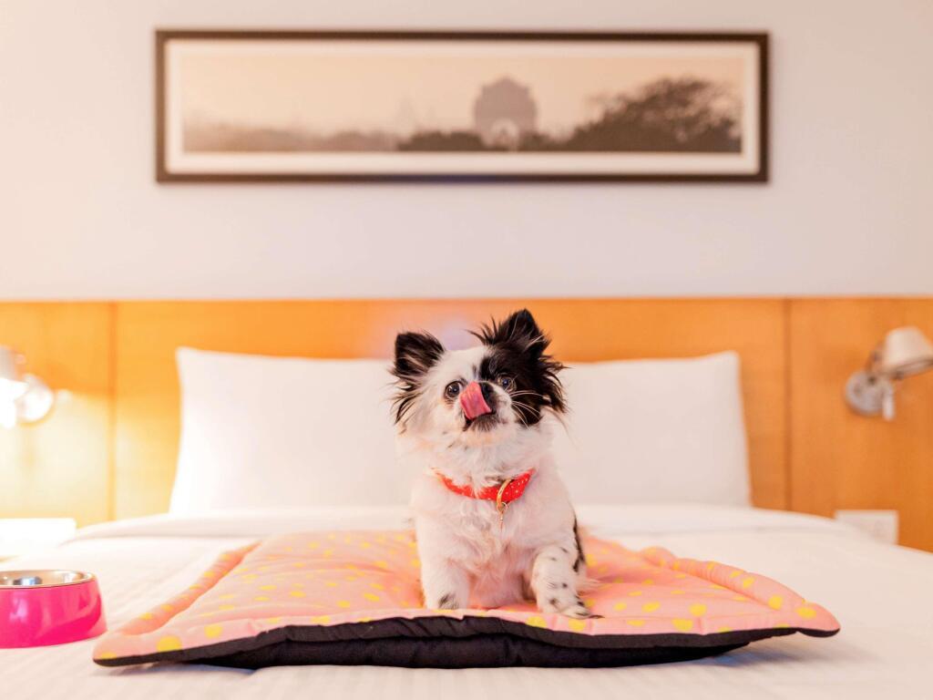 Ченнаи: ibis Chennai City Centre Hotel