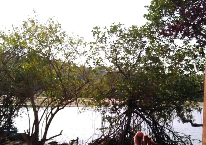 Южный Гоа: The Bay Agonda