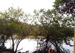 Южный Гоа: The Bay Agonda