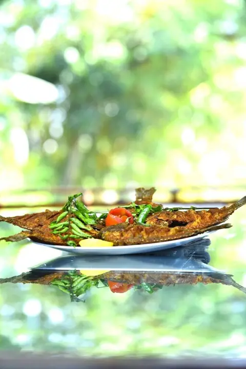 Аллеппи: Best Kerala Houseboat