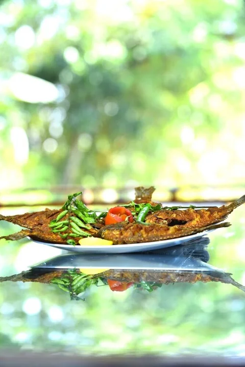Аллеппи: Best Kerala Houseboat