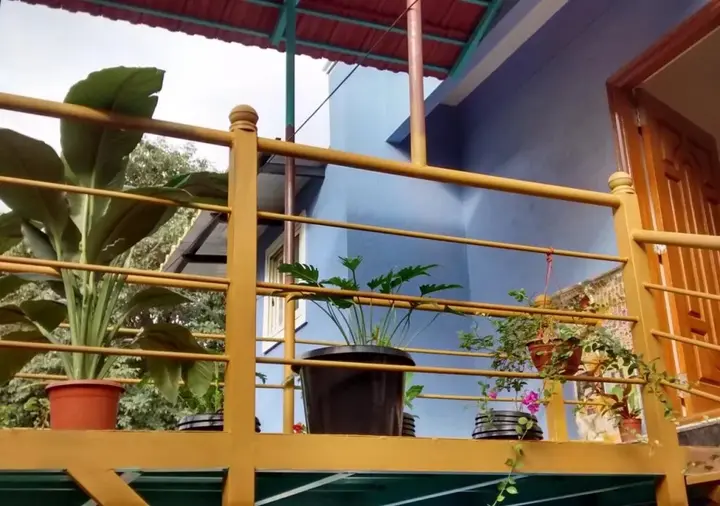 Бангалор: The Meditating Monkeys