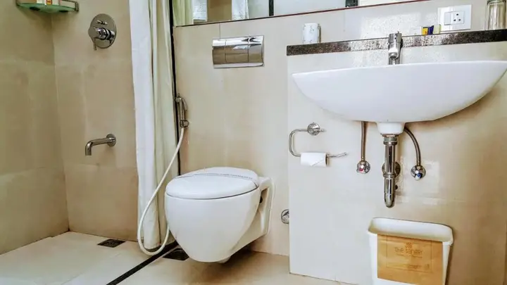 Джайпур: The Saneer Boutique Hotel