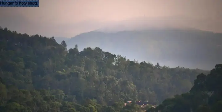 Кумили: Thekkady Homestay