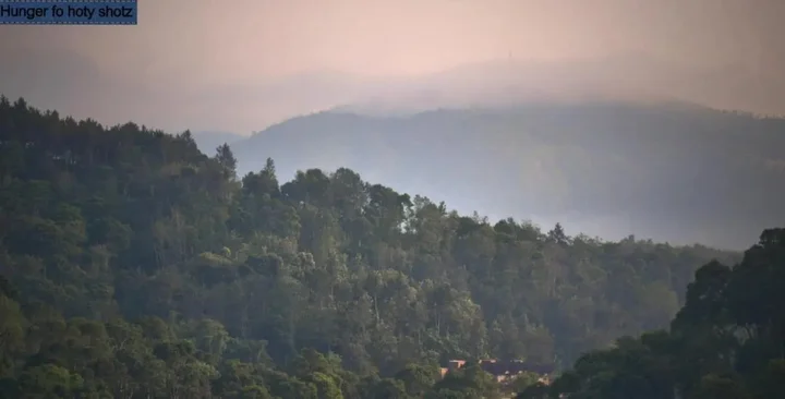 Кумили: Thekkady Homestay