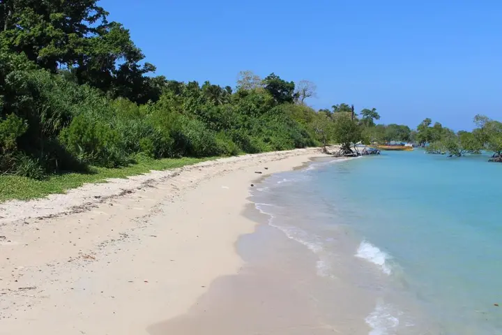 Лакшманпур: Silver Sand Neil