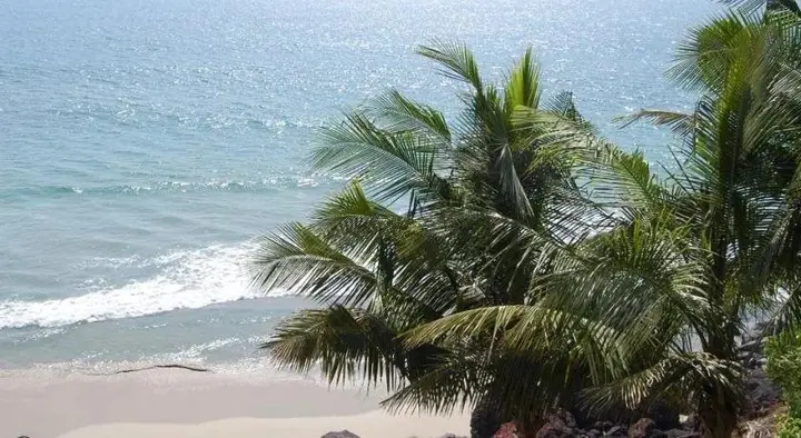 Варкала: Seashore Beach Resort Varkala