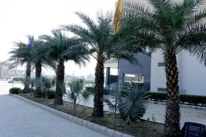 Сирса: Hotel Solitaire Grand