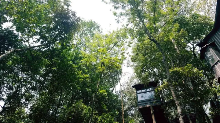 Султан-Батери: Ranches Jungle Beats