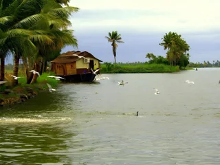 Чампакулам: Sunny Days Homestay Alleppey