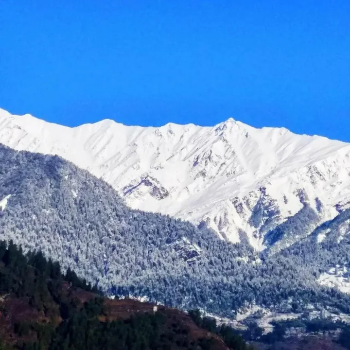 Наггар: Soham's Chateau De Naggar