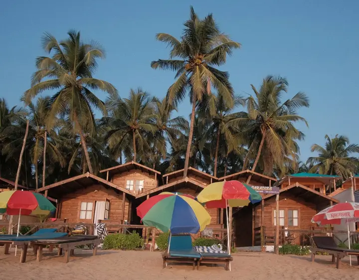 Южный Гоа: Agonda Paradise