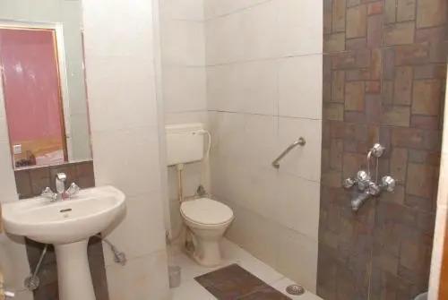 Натхдвара: Hotel Shreenath
