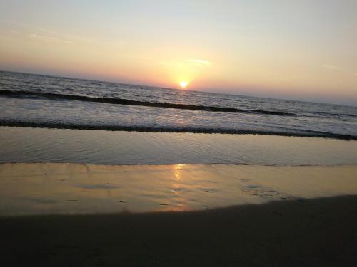 Коччи: Angel Garden Beach Homestay