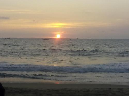 Коччи: Angel Garden Beach Homestay