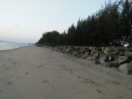 Коччи: Angel Garden Beach Homestay