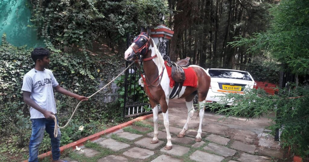 carousel image 4