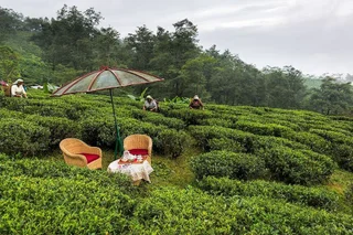 Пеллинг: Ging Tea House